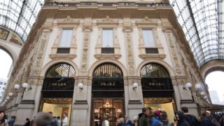 Общество: Prada откажется от меха животных с 2020 года