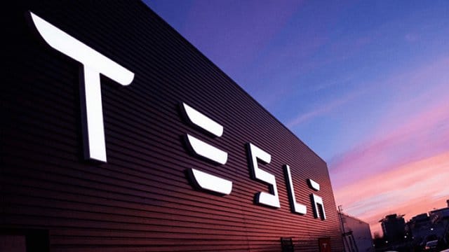 Общество: Британец опубликовал снимок барана в Тwitter и получил работу в Tesla