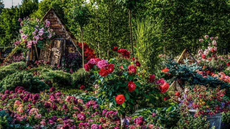 Общество: Фестиваль садов и цветов Moscow Flower Show пройдёт с 10 по 21 июля