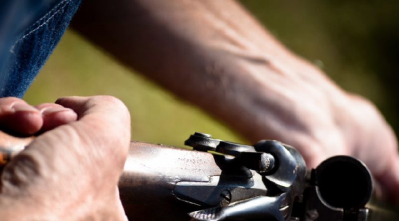 Происшествия: Путин иронично уличил Великобританию в недостатке демократии.