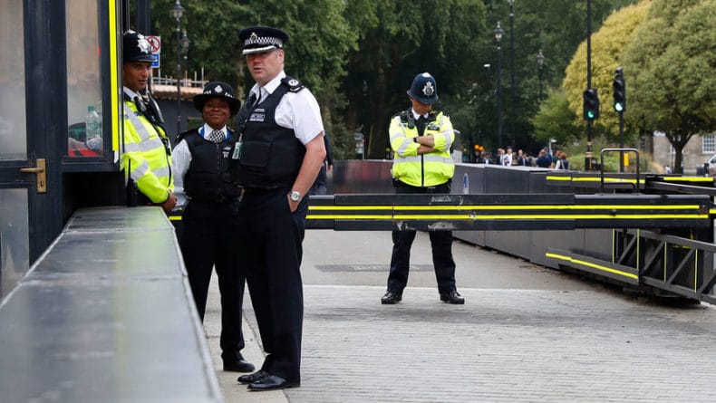 Происшествия: Скрипачка из России найдена мертвой в Лондоне