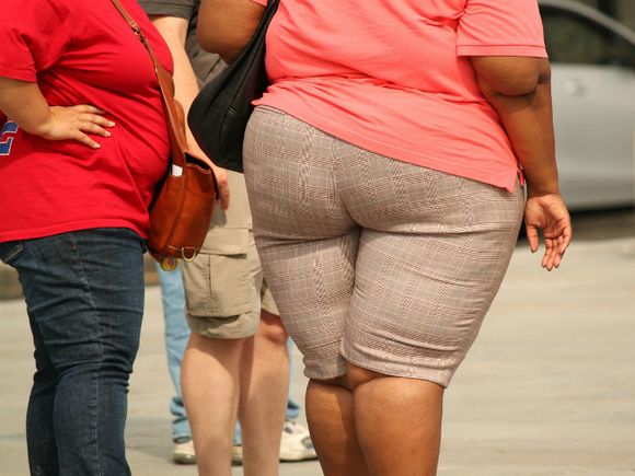 Общество: Британский ведущий предложил не тратить деньги бюджета на лечение толстяков: пусть они умрут