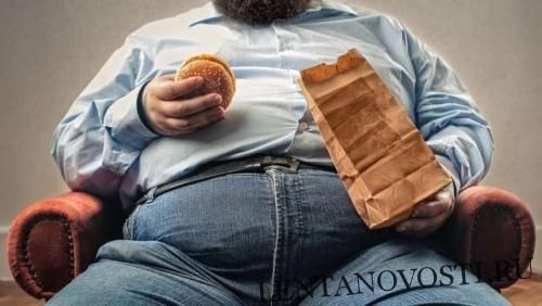 Общество: В Британии предложили толстым людям умирать ради бюджета страны