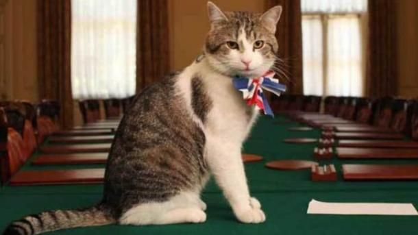 Знаменитости: Джонсон поздравил главного мышелова Британии с Днем кота