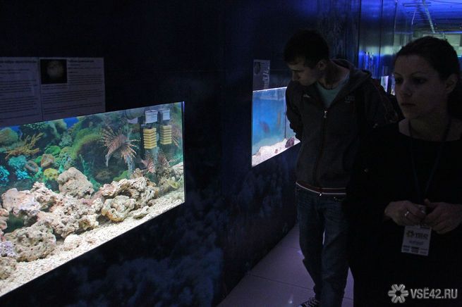 Без рубрики: Британцы отравились смертоносным токсином во время чистки аквариума