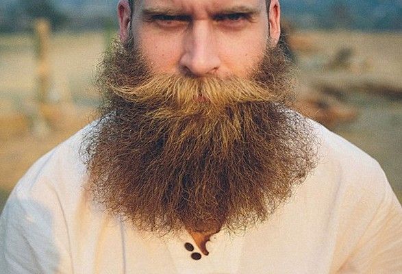 Общество: В Британии военным летчикам разрешили носить бороду