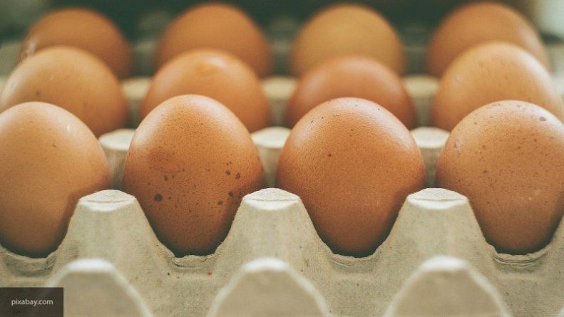 Общество: Британка лишилась зрения из-за сваренных в микроволновке яиц