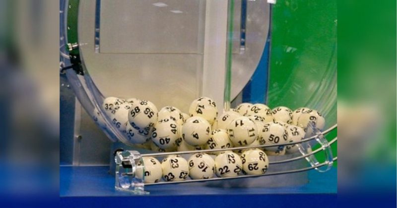 Общество: В Италии сорван крупнейший лотерейный джекпот в Европе - в Британии кот помог своим хозяевам выиграть в лотерею миллион