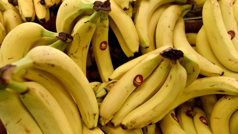Общество: Опасный грибок может привести к мировому дефициту бананов