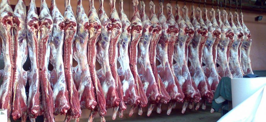Без рубрики: В Лондоне активисты требуют запретить производство мяса и молока