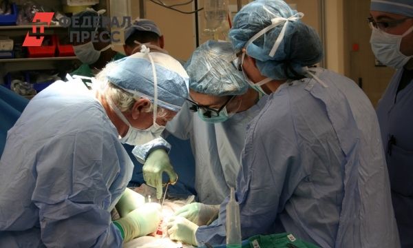 Общество: Британский хирург пересадит человеку  почку свиньи | Северная Европа | ФедералПресс