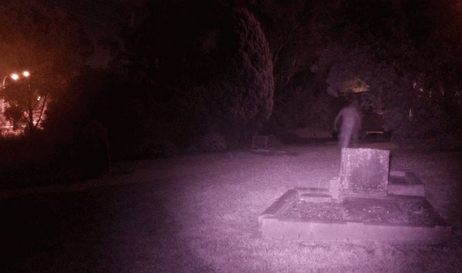 Общество: Человек-сова обнаружен на кладбище в Британии: Охотнику за призраками посчастливилось увидеть "человека-сову" - уникальные кадры