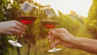 Общество: Британские ученые: красное вино полезно для кишечника