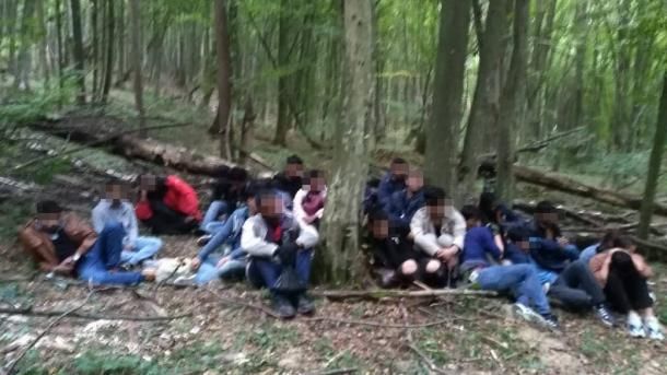 Общество: Пограничники со стрельбой задержали 24 нелегалов из Азии (видео)