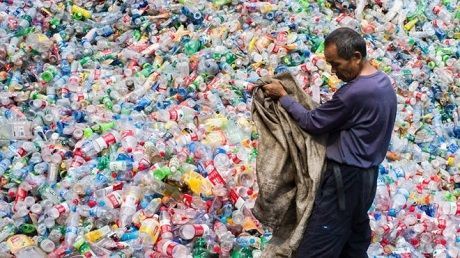 Общество: «Пластиковая эра»: Пластиковый мусор стал откладываться в окаменелостях