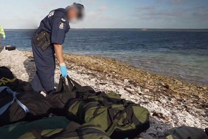 Общество: Тюлень помог полицейским задержать контрабандистов с тонной наркотиков