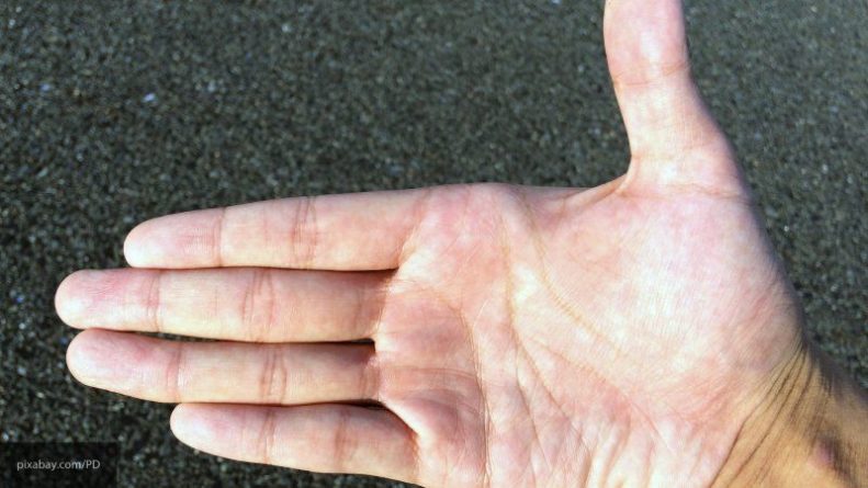 Общество: Ученые выяснили, что потерявшим руки художникам ноги заменили пальцы рук