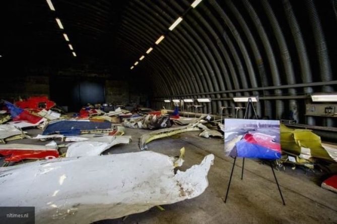 Общество: Гаспарян объяснил, почему Киев отпустил «ценного» свидетеля крушения MH17