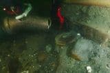 Общество: Археологи обнаружили останки самого известного корабля Джеймса Кука «Индевор»