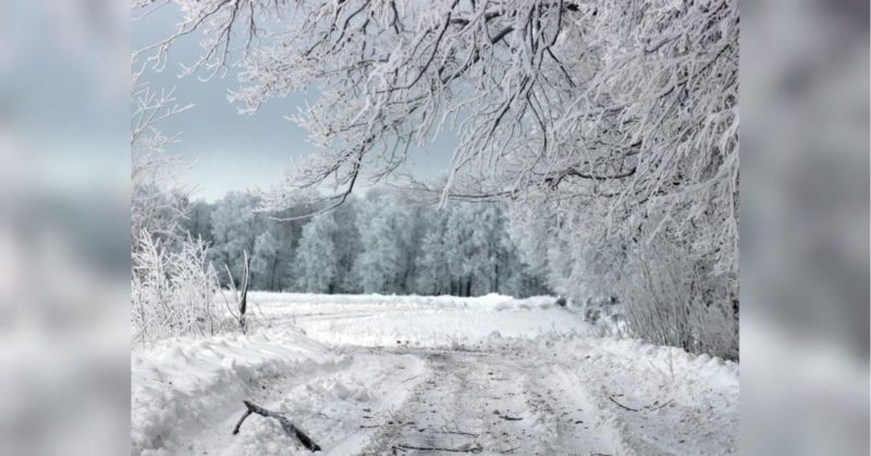 Общество: "Монстр с востока" принесет зимой в Европу самые сильные морозы за последние 30 лет