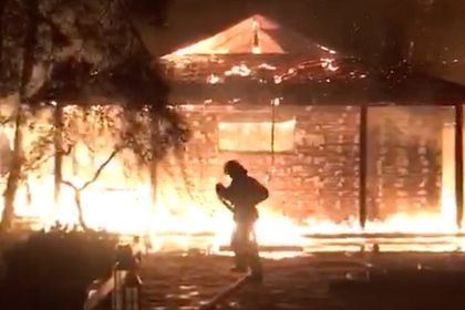 Общество: Под Киевом сожгли дом соратницы Порошенко