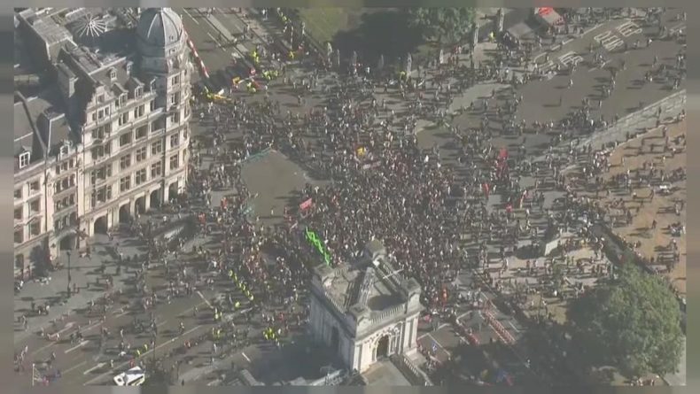 "Британцы требуют действий" 21092019 Общество: "Британцы требуют действий"