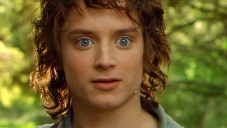 Общество: Учёные из Новой Зеландии назвали новый вид блох в честь Фродо Бэггинса