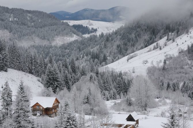 Общество: Снег выпал в Украине: зима обрушилась внезапно, яркие фото