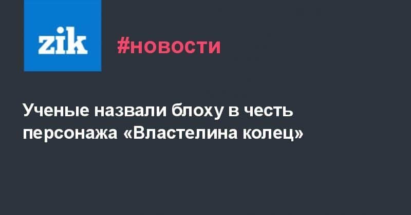 Ученые назвали блоху в честь персонажа «Властелина колец» 22092019 Общество: Ученые назвали блоху в честь персонажа «Властелина колец»