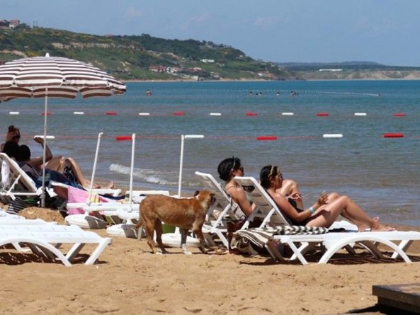 Общество: Эксперт назвал главные причины смерти туристов из России в Турции