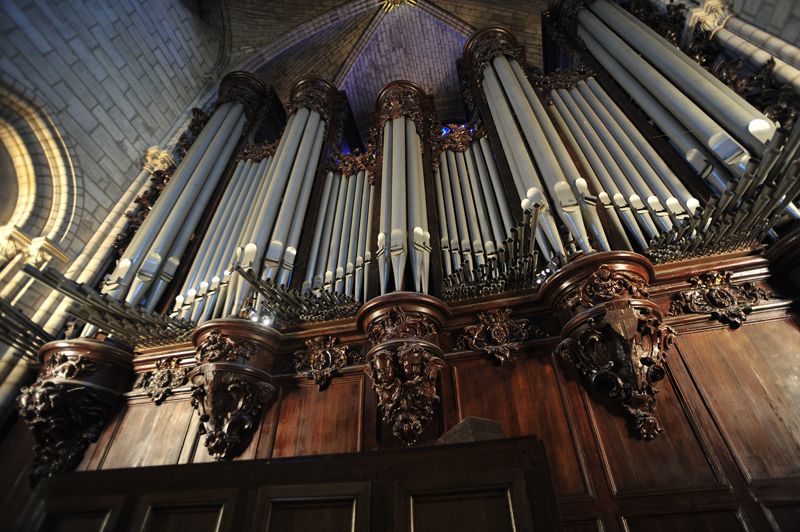 afisha_organ1.jpg