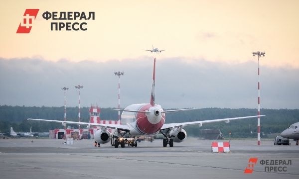 Общество: Аэропорта Пулково может войти в режим открытого неба