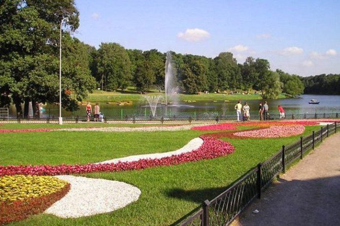 Общество: В московских парках можно посетить уроки английского языка