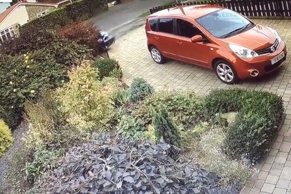 Мужчина купил спорткар и через несколько часов разбил его 01102019 Общество: Мужчина купил спорткар и через несколько часов разбил его