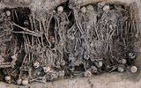 Общество: Ученые обнаружили в Поволжье России самые ранние следы Черной смерти