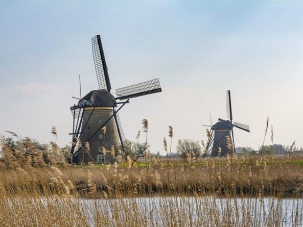 Общество: Нидерланды откажутся от названия Голландия