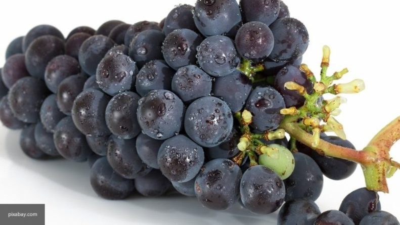 Общество: Эксперты рассказали о полезных свойствах винограда