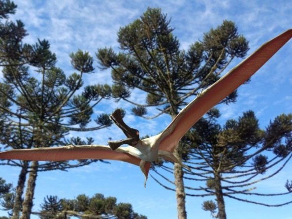 Общество: В Австралии нашли нового птерозавра с размахом крыльев четыре метра