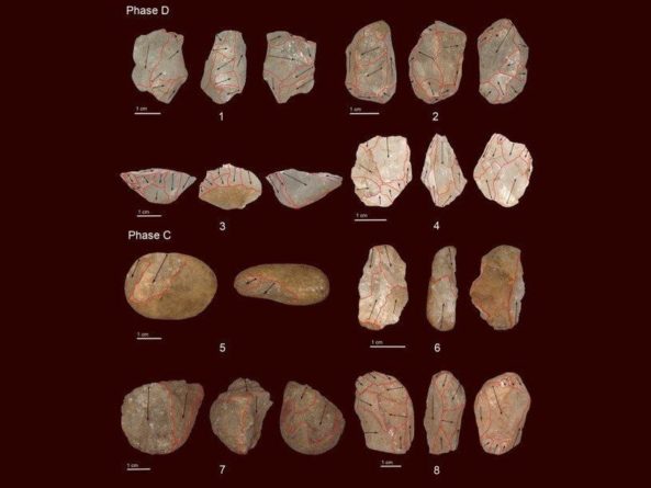 Общество: Каменным орудиям из ланкийской пещеры 45 тысяч лет