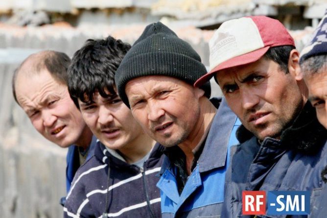 Общество: Эксперт: Мигрантов в России 8% от численности населения