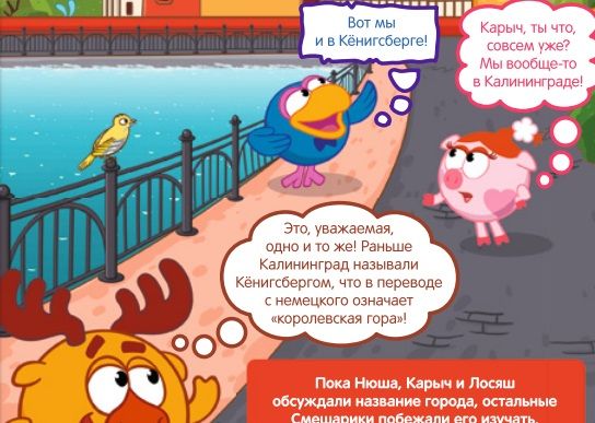 Общество: «Вот мы и в Кёнигсберге!»: чему учит детей журнал авиакомпании «Россия»