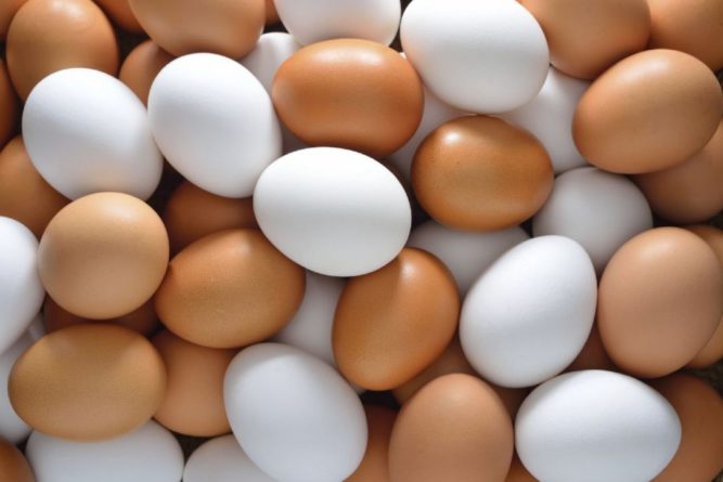Общество: Диетолог рассказал, как нужно есть яйца без вреда для здоровья