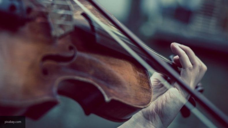 Общество: Забытая в поезде скрипка стоимостью более 20 млн рублей возвращена владельцу в Британии