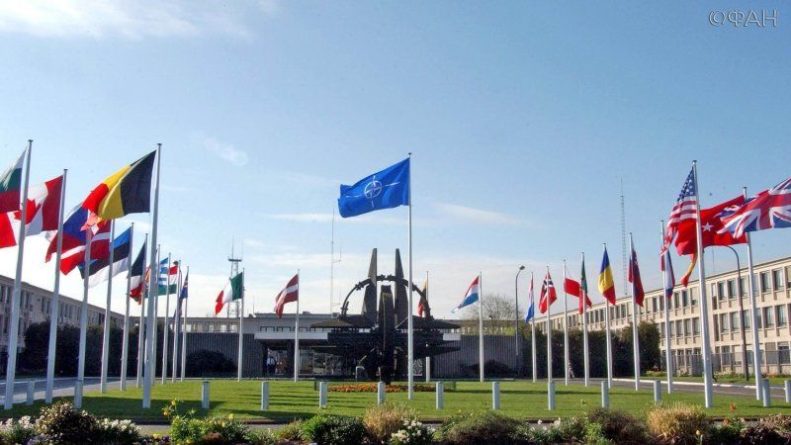 Общество: Военные НАТО пожаловались на звонки от «русских ботов»
