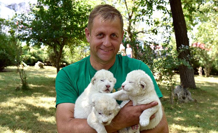 Общество: The Telegraph (Великобритания): владелец частного крымского зоопарка умоляет людей взять 30 его медведей, чтобы не умерщвлять их
