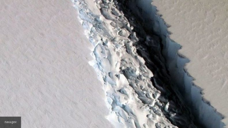 Общество: Специалисты обнаружили мешок лука столетней давности в Антарктиде