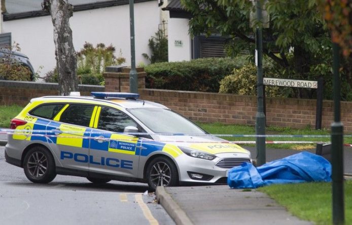 Общество: В Лондоне неизвестные зарезали юношу и ранили ещё трёх человек