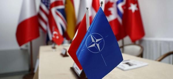 Общество: Турция НАТО не товарищ по Балтии: Анкара требует поддержки своего плана
