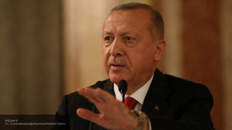 Общество: Союзники Турции по НАТО не простят Анкаре сделку с боевиками ПНС Ливии