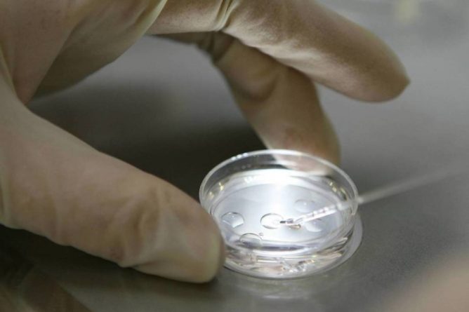 Общество: В Китае нашли эмбрион неизвестного организма